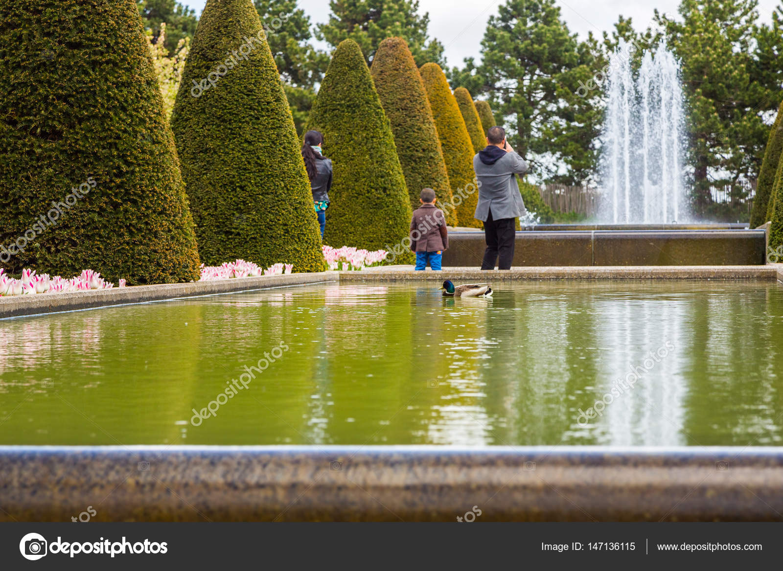Family Of Tourists In Keukenhof Park Look At The Ducks Swimming In The Pond And Take A Picture Of The Fountain Mom Dad And Their Son In The Park Family Of Tourists In Keukenhof Park Look At The Ducks Swimming In The Pond And Take A Picture Of The Fountain Mom Dad And Their Son In The Park