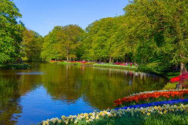 Renkli Lale Keukenhof Park, Hollanda