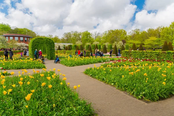 Tulipanes coloridos en el jardín Keukenhof, Holanda — Foto de Stock