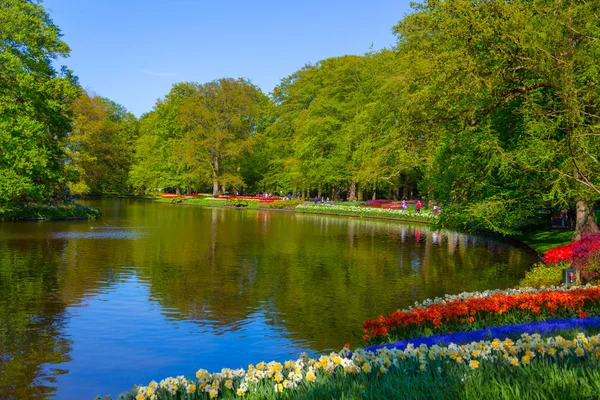 Renkli Lale Keukenhof Park, Hollanda