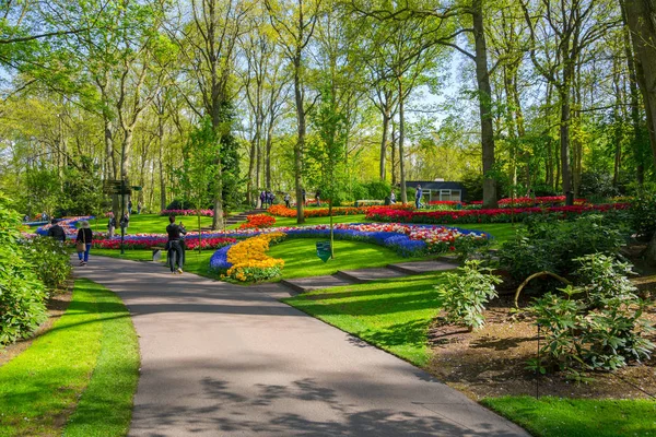 Tulipanes coloridos en el jardín Keukenhof, Holanda — Foto de Stock