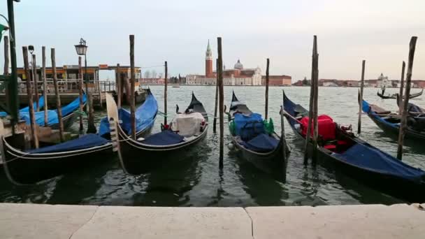 Gondoler i Venezia, Italien. — Stockvideo