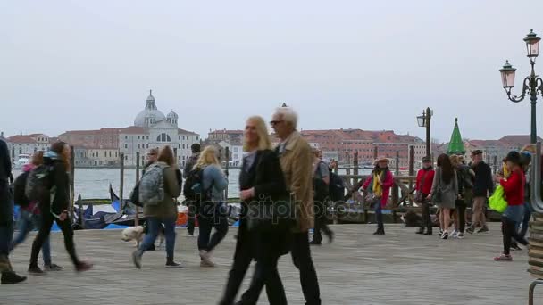 Turystów na molo w pobliżu Canal Grande — Wideo stockowe