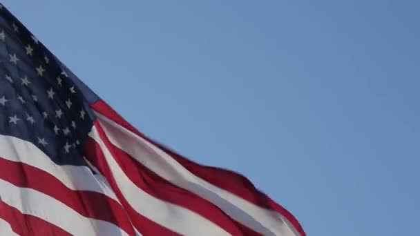 EE.UU. Bandera americana — Vídeo de stock
