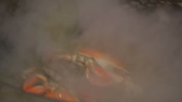 Koch kocht Krabben in einer großen Pfanne — Stockvideo