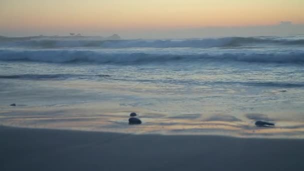 Bay stranden i Pacific Grove — Stockvideo