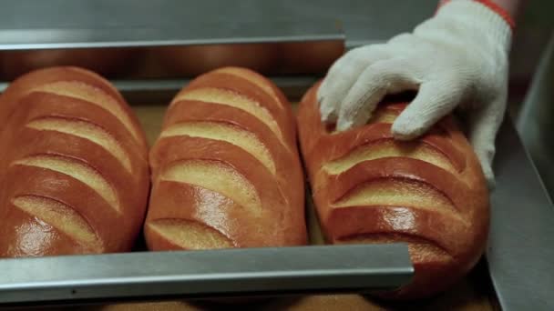 Разрезание буханки хлеба на куски и упаковка — стоковое видео