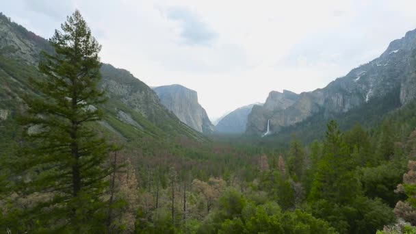View of Yosemite valley in Yosemite National Park — Stock Video