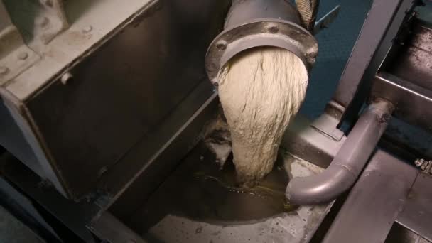 Промышленное производство хлеба в пекарне . — стоковое видео