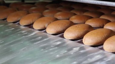 Ekmek üretimi için bitki
