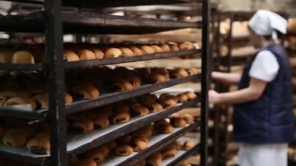 Работа в пекарне . — стоковое видео