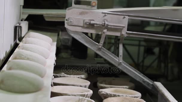 Fabricación de masa de pan . — Vídeo de stock