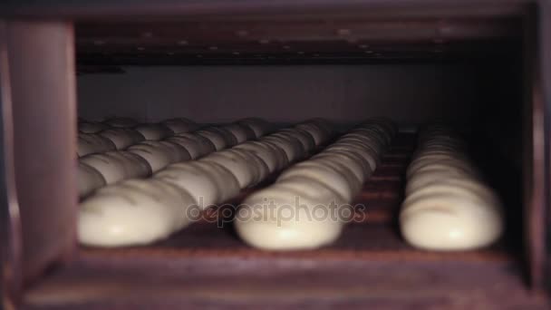 Сырой хлеб перемещается в печи вдоль конвейера — стоковое видео