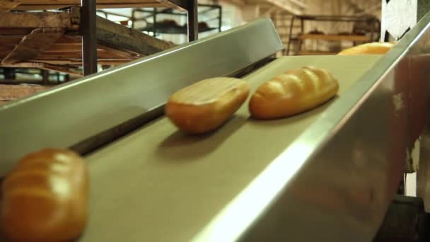 Gebakken brood in de bakkerij — Stockvideo