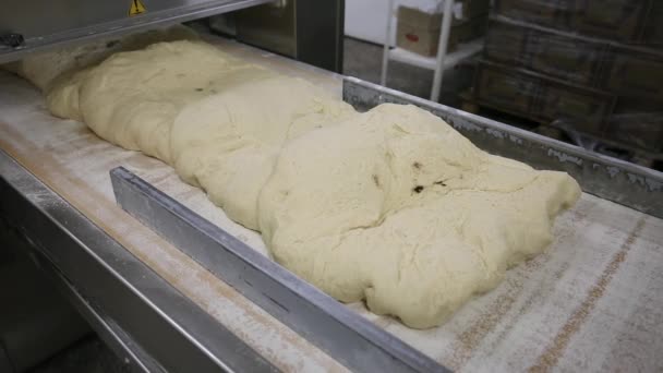 Dough moves along the conveyor. — Stockvideo