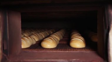 Usanmış ekmek fırında hareket ediyor