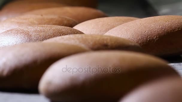 Pane caldo appena sfornato — Video Stock