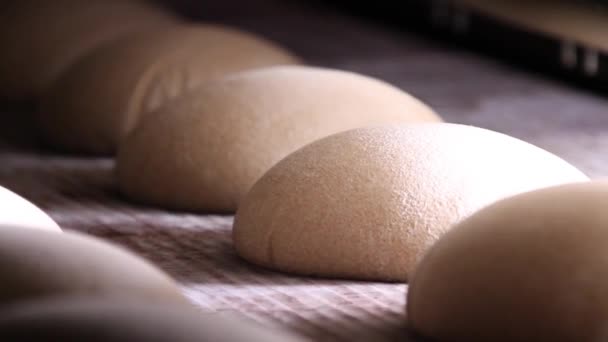 Raw dough bread on a conveyor — Stock Video