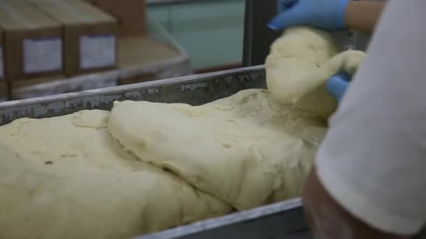 Кондитери підготувати тісто . — стокове відео