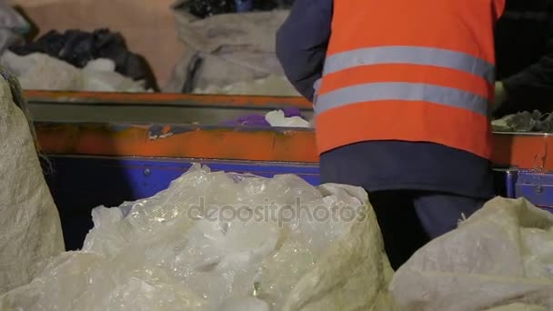 Recycling-Fabrikarbeiter. — Stockvideo
