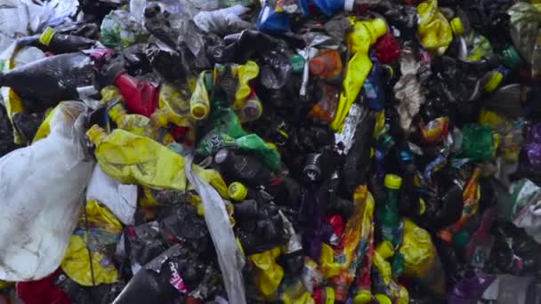 Plastik geri dönüşüm konteyner parçalayıcı atık kırıcı — Stok video