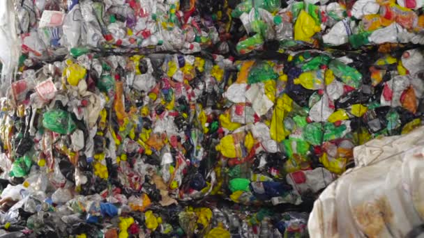 Plastové recyklace kontejneru drtič odpadu drtič — Stock video
