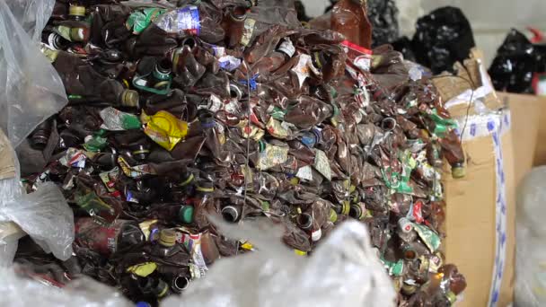 Botellas de agua recogidas en un depósito para reciclaje . — Vídeo de stock