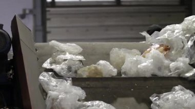 Fabrika işçileri geri dönüşüm.