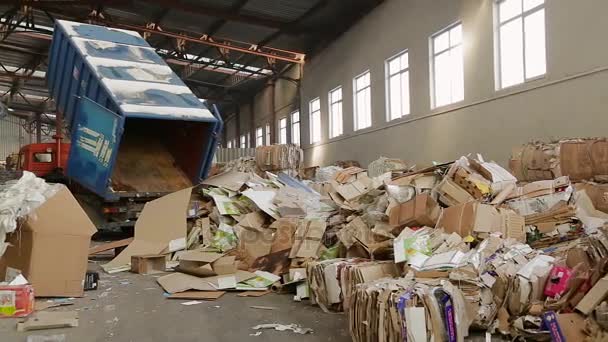 Μεγάλη αποθήκη απορριμμάτων χαρτιού σε ένα εργοστάσιο. — Αρχείο Βίντεο