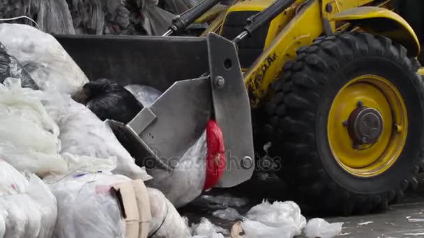 Loader sorterar pallar med återvunnet material — Stockvideo