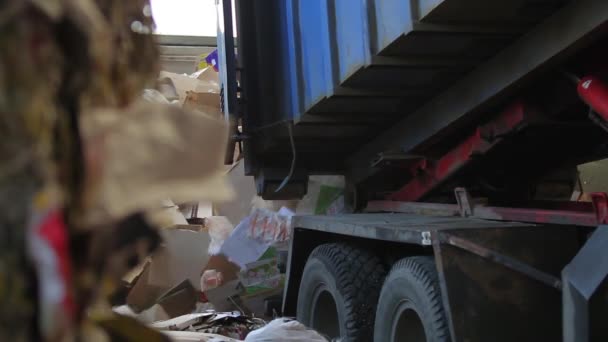 Camion a apporté les déchets de papier — Video