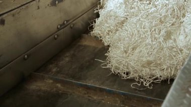 Geri dönüşüm çöp fabrika