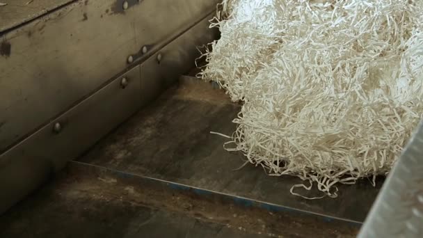 Återvinning sopor fabrik — Stockvideo