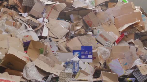 Grote fabriek voor Recycling van papier en kartonnen. — Stockvideo