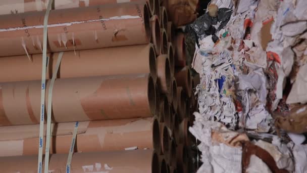 Grote fabriek voor Recycling van papier en kartonnen. — Stockvideo