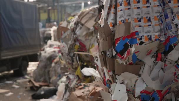 Grote fabriek voor Recycling van papier en kartonnen. — Stockvideo