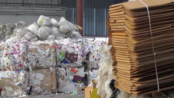 大きな紙や外装ダンボール リサイクル工場. — ストック動画