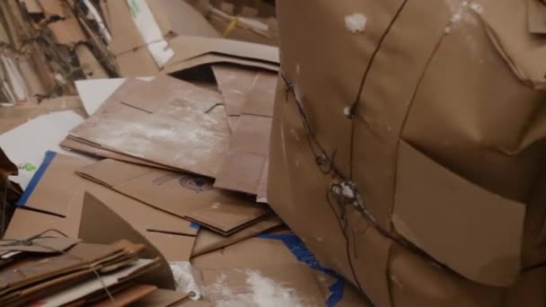 Большой завод по переработке бумаги и картона . — стоковое видео
