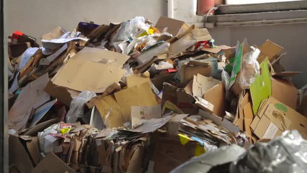 Grote fabriek voor Recycling van papier en kartonnen. — Stockvideo