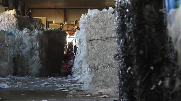 Almacén con materiales reciclables — Vídeos de Stock