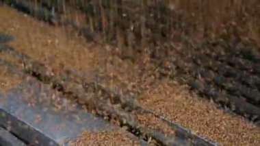 tahıl kamyon boşaltma.