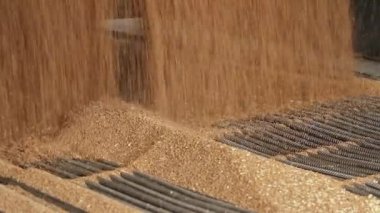 tahıl kamyon boşaltma.