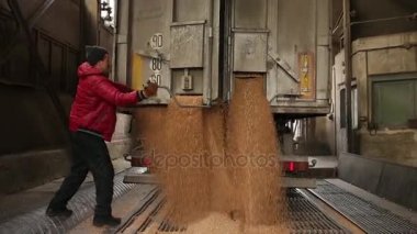 tahıl kamyon boşaltma.