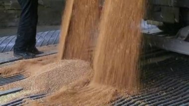 tahıl kamyon boşaltma.