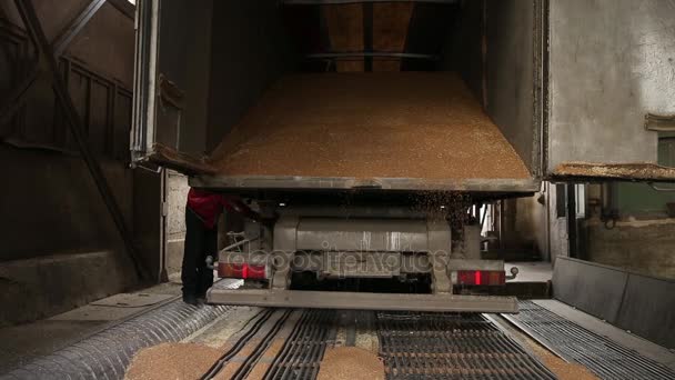 Graan vrachtwagen lossen. — Stockvideo