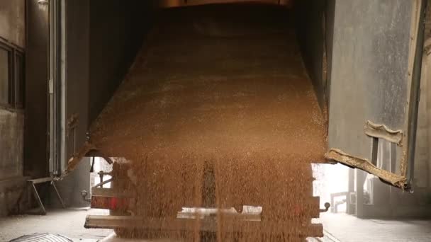 Déchargement camion grain . — Video