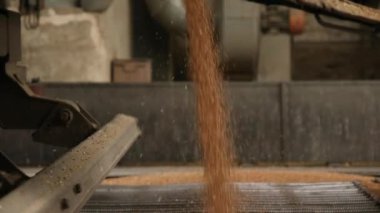 tahıl kamyon boşaltma.