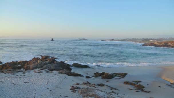 Punktu widzenia kamienistej plaży Monterey w Kalifornii — Wideo stockowe