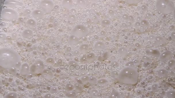 Fermentation of yeast — Stock Video