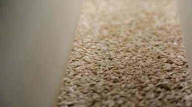 Buğday Hububat konveyör bant hareket